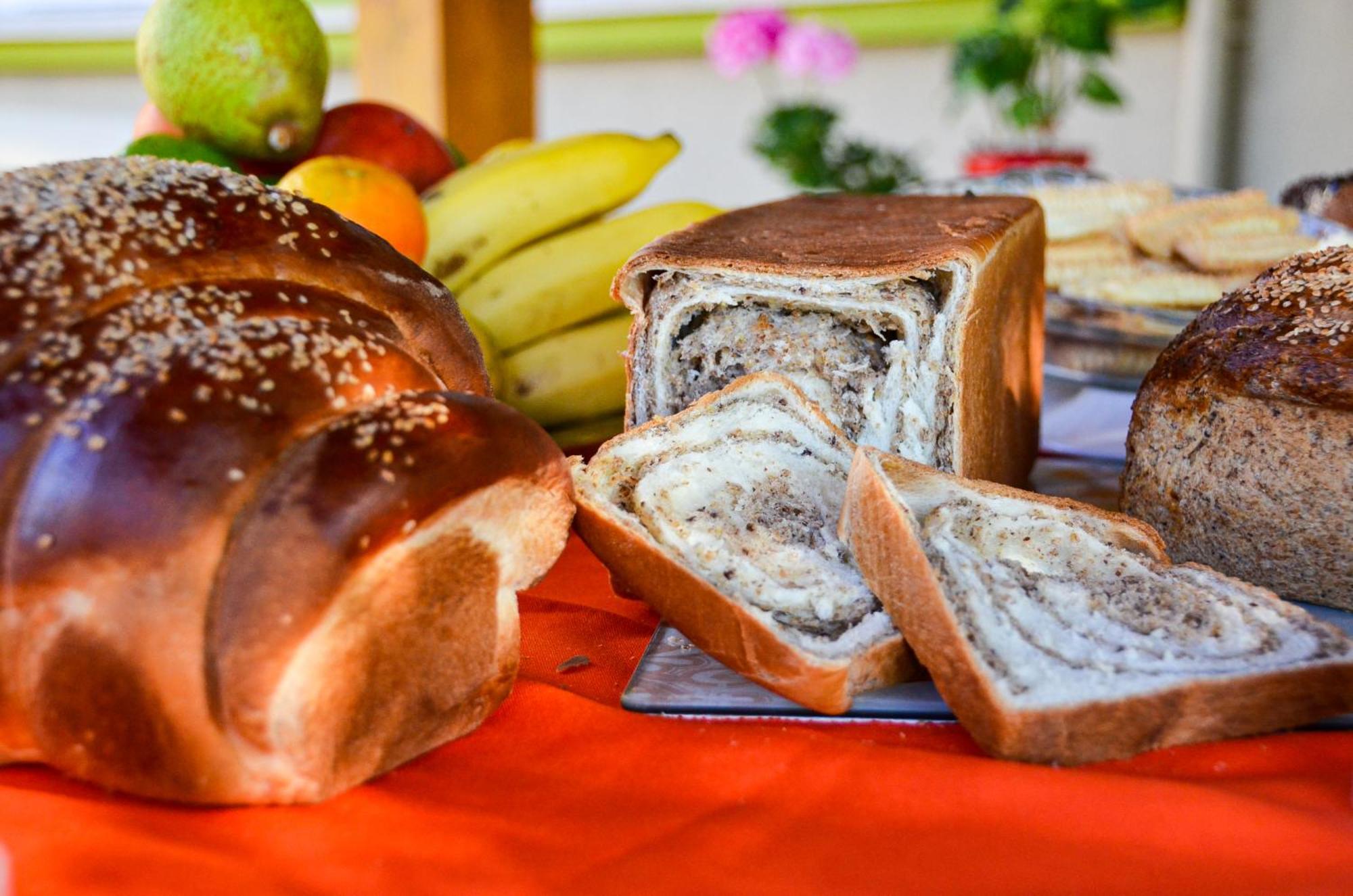 נובה פטרופוליס Hospedaria Bom Pastor מראה חיצוני תמונה